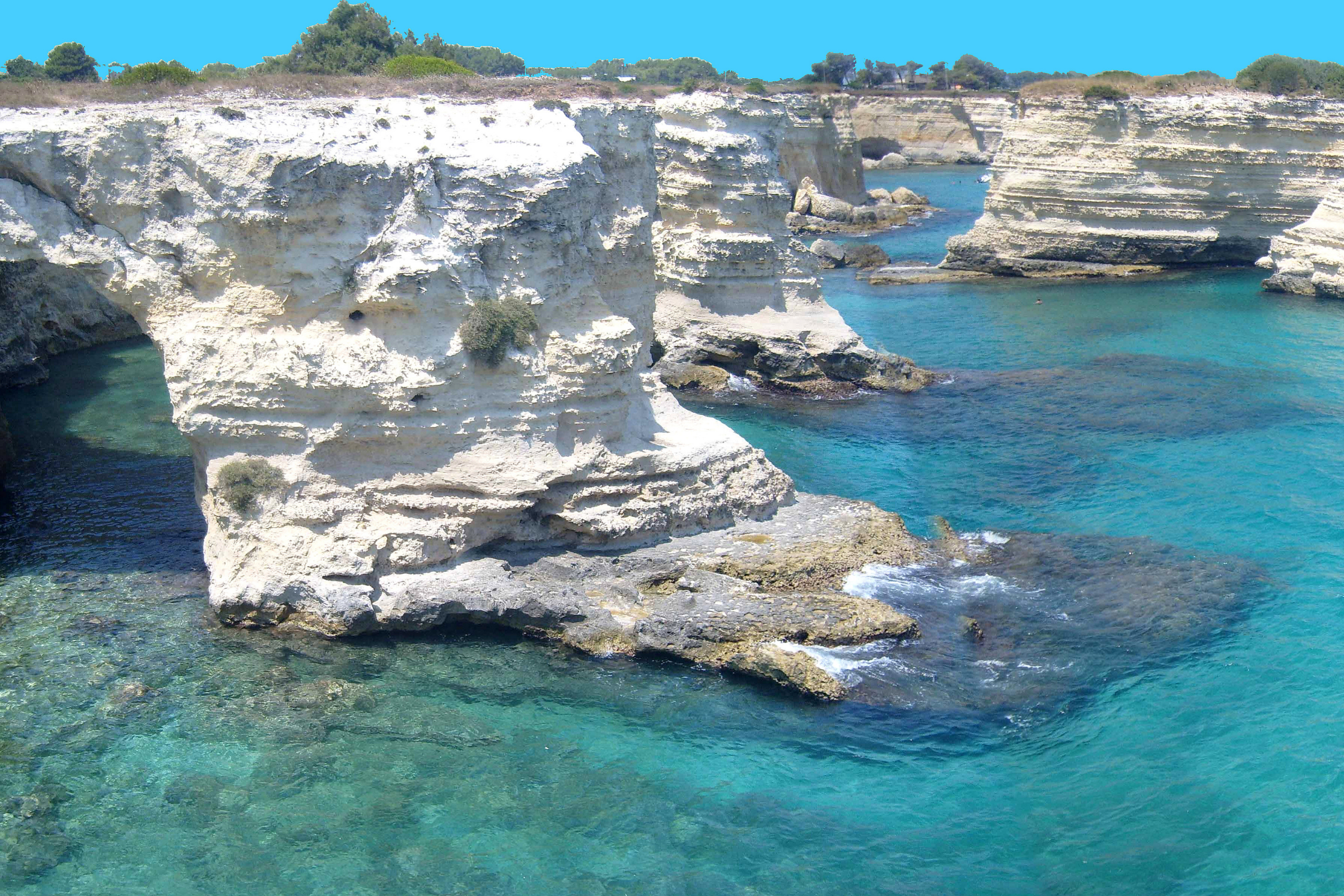 50 lecce.webp